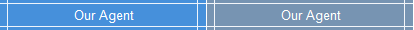 our_agent
